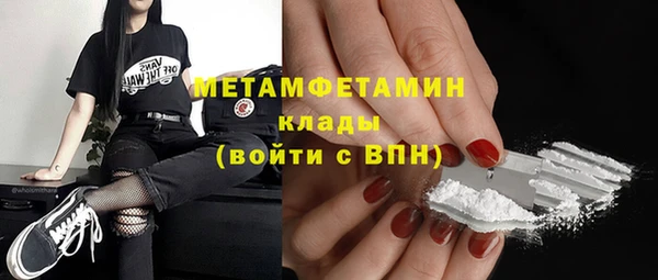 молекула духа Богданович