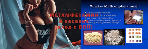 молекула духа Богданович