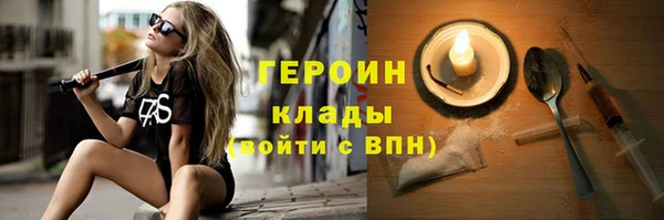 молекула духа Богданович