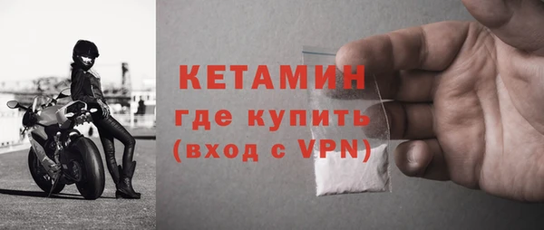 молекула духа Богданович