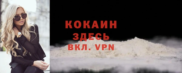 молекула духа Богданович
