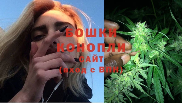 спайс Бородино