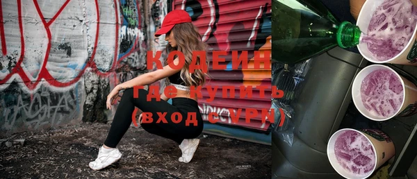 молекула духа Богданович