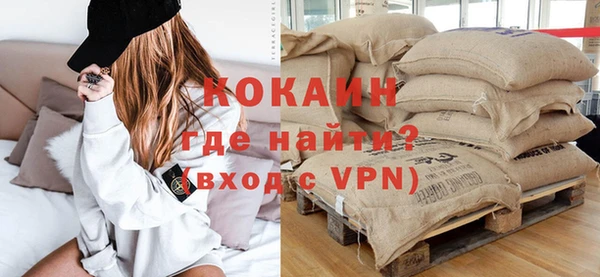 молекула духа Богданович