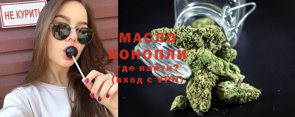 молекула духа Богданович
